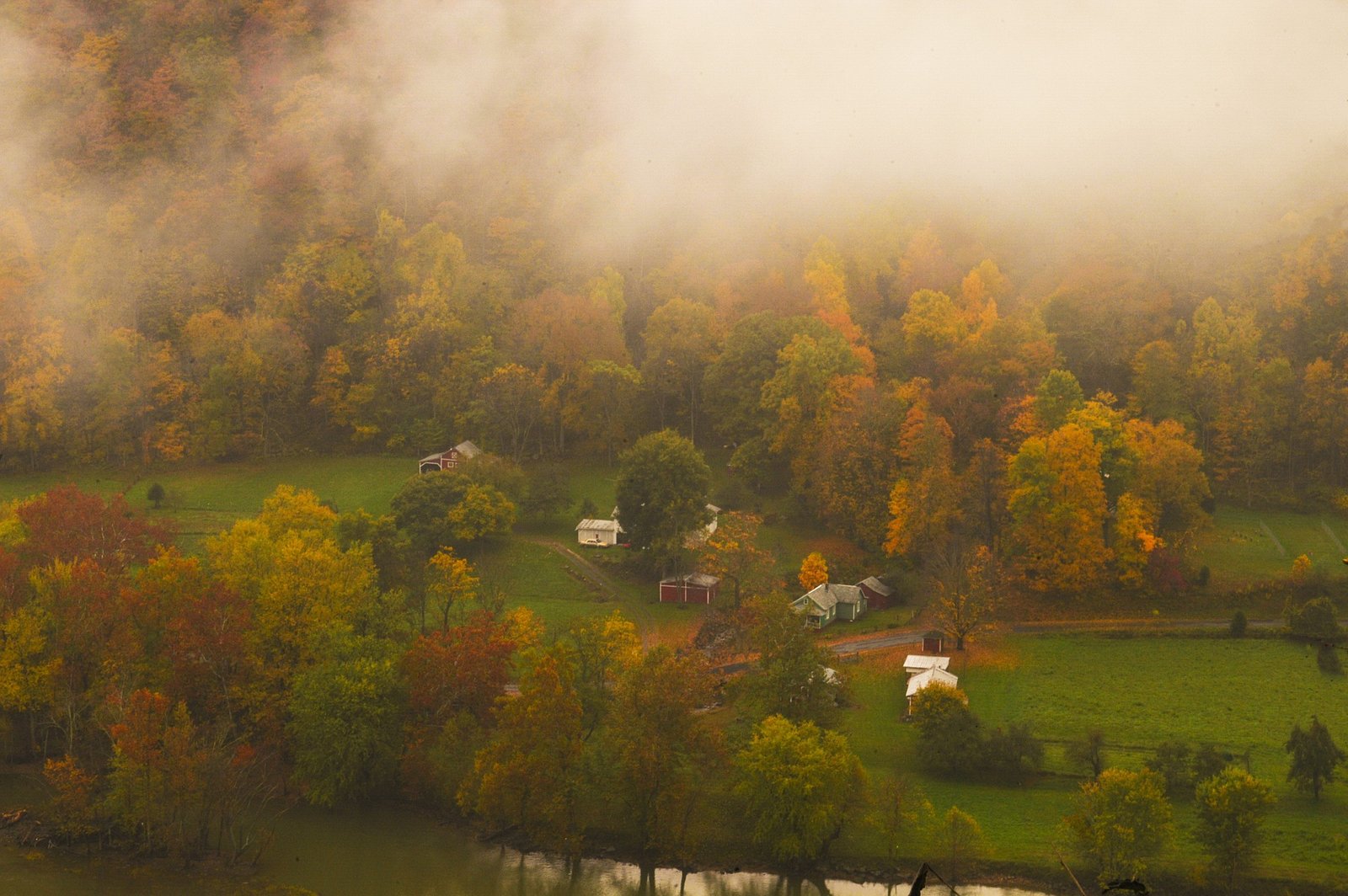 Header image for Evolving Ideas LLC